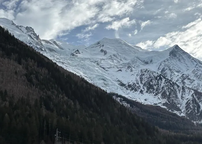 Chamois Blanc / Appartement Chamonix